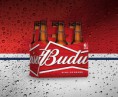 Cerveza Budweiser six pack